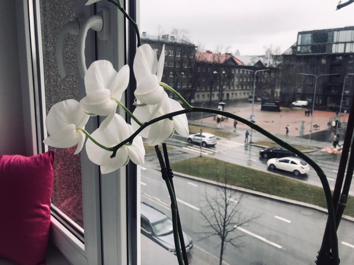 Cozy Central Apartment Tallinn Dış mekan fotoğraf